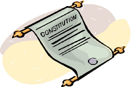 PTN constitution 1