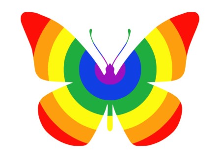 PTN pride butterfly