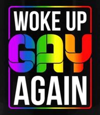 woke up gay again