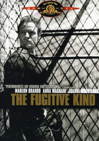 The Fugitive Kind BrandoWoodward